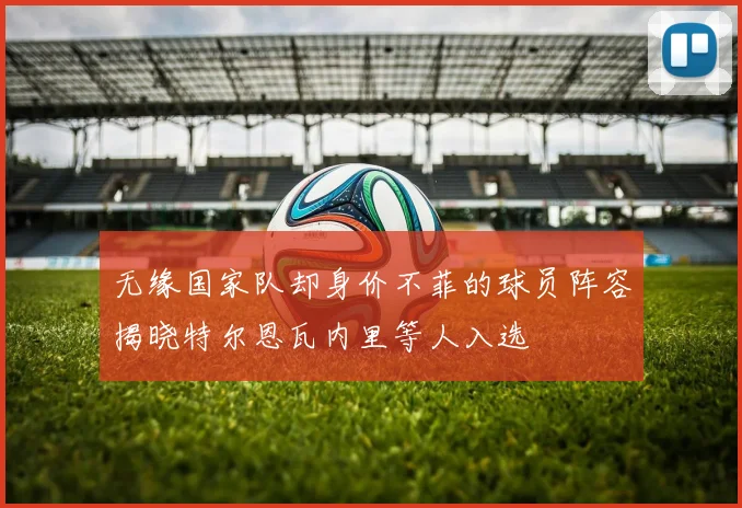 无缘国家队却身价不菲的球员阵容揭晓特尔恩瓦内里等人入选
