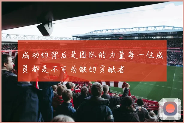 成功的背后是团队的力量每一位成员都是不可或缺的贡献者