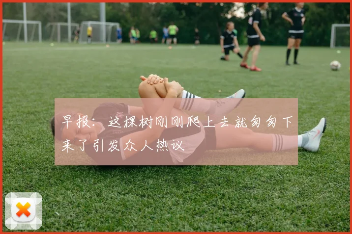 早报：这棵树刚刚爬上去就匆匆下来了引发众人热议